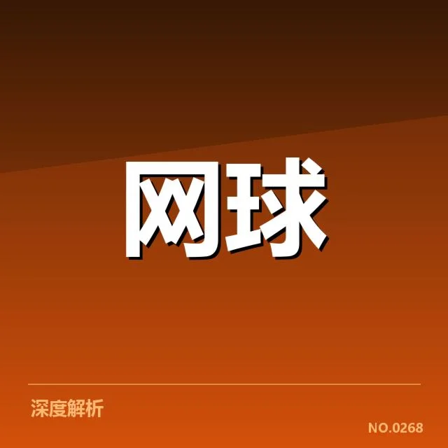 ATP巡回赛场地适应：硬地赛事中球员战术调整的背后思考